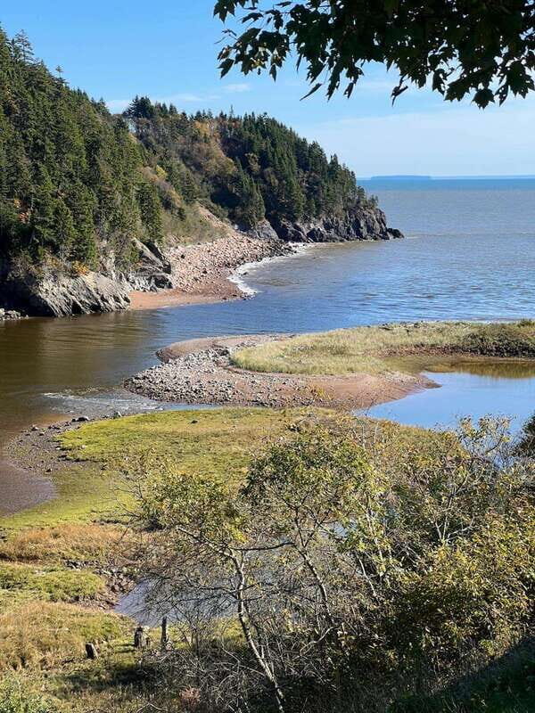 Hopewell Rocks and Fundy National Park Private Tour - Who Is This Tour Best For?