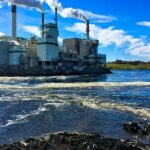 Hopewell Rocks Bay of Fundy Tour - Exploring the Itinerary: What to Expect