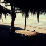 Horse Back Riding And Baby Turtle Camp Visit - Who Should Consider This Tour?