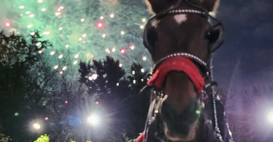 Horse Carriage Ride at Rockefeller Center & Times Square - The Practical Breakdown