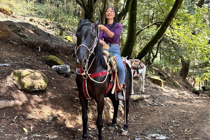 Horse experience with my family - Practical Details and Considerations