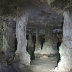 Horse Ride to Cenote Mil Columnas - The Experience from Reviews