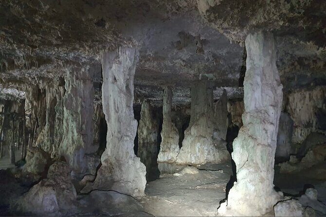 Horse Ride to Cenote Mil Columnas - The Experience from Reviews