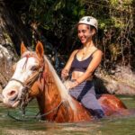 Horse Tour - Who Should Consider This Tour?