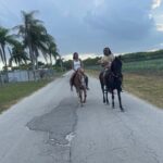 Horseback Experience in Miami - Exploring the Itinerary