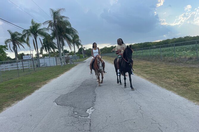 Horseback Experience in Miami - Exploring the Itinerary