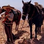 Horseback Ride in Guanajuato with Live Music and Food - What the Reviews Say