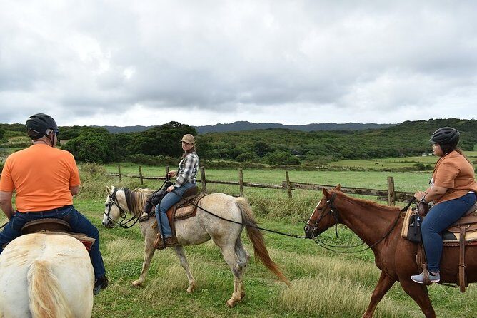 Horseback Ride Like an Authentic Paniolo in Kahuku - Who Is This Tour Best For?