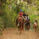 Horseback Riding Adventure in Punta Mita Nayarit - Exploring the Itinerary and Highlights
