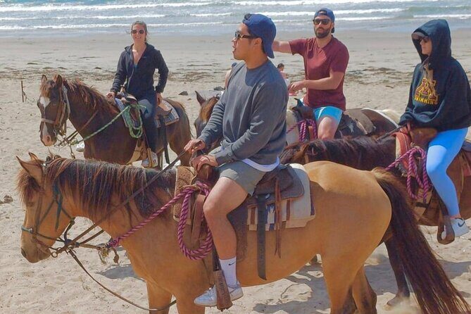 Horseback Riding And a Visit to La Bufadora Ensenada - Transportation, Group Size, and Other Practical Details