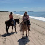 Horseback riding and Temazcal combo with lunch and mezcal - Price and Value