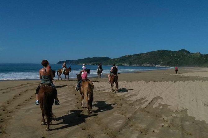 Horseback Riding on the Beach - Is It Worth the Price?