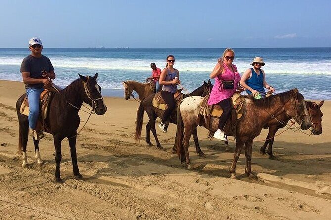 Horseback Riding Playa Larga - The Experience in Detail