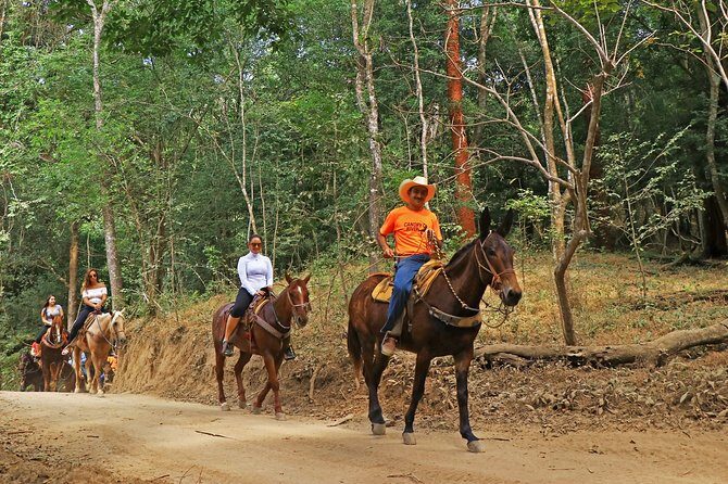 Horseback Riding Tour - Exploring the Details of the Horseback Riding Tour