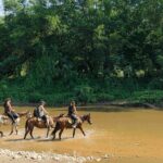 Horseback Riding Tour to the Hot Springs in Puerto Escondido - Authenticity and Guide Quality