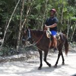 Horseback riding Tour with ATV circuit, ziplines and Cenote - Who Is This Tour Best For?