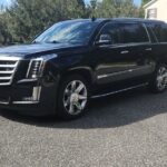 Hotel to Port Transfer: from Disney Resort Area to Port Canaveral - What to Expect During the Transfer