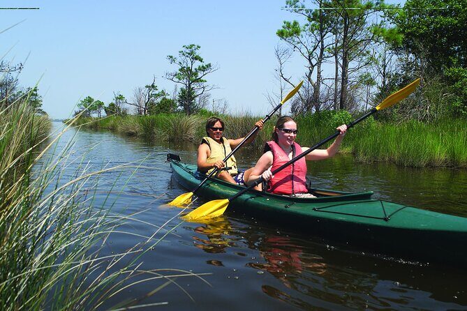 Hourly Kayak Rental in Whalebone - What to Expect During Your Paddle