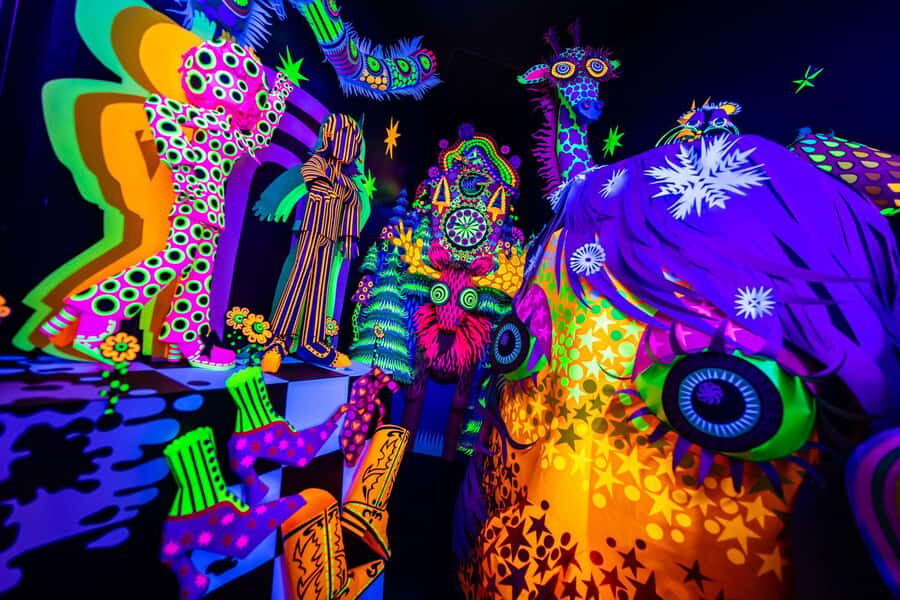 Houston: Meow Wolf - Radio Tave Ticket - The Artistic Collaboration