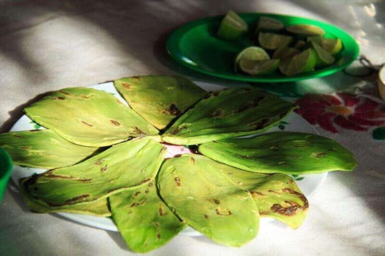 Huatulco: Authentic Rural Mexican Experience Adventure - Practical Details and Tips