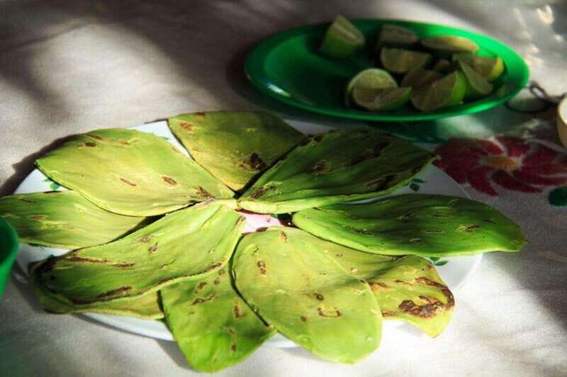 Huatulco: Authentic Rural Mexican Experience Adventure - Practical Details and Tips