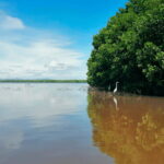 Huatulco: Laguna de Chacahua Exploration - Discovering the Essence of Chacahua through a Full-Day Tour