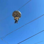 Huatulco: Oaxaca Sightseeing Tour - Exploring Oaxaca’s Historic Center