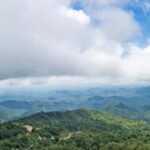 Huatulco: Pluma Hidalgo Coffee Origin and Essence. - Is the Price Justified?