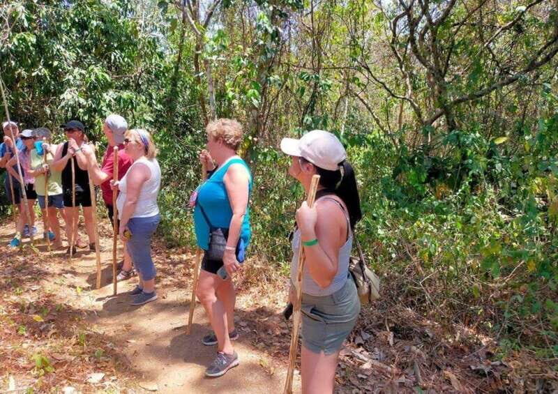 Huatulco: Private Coffee and Fruit Ranch Experience - What Travelers Say: Authenticity and Guides Matter