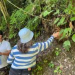 Huatulco: Waterfalls Tour with Buffet Lunch - Real Talk: The Pros and Cons