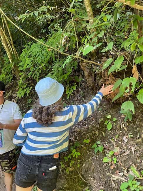 Huatulco: Waterfalls Tour with Buffet Lunch - Real Talk: The Pros and Cons