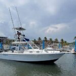 Huatulco Whale & Dolphin Adventures - Analyzing the Value