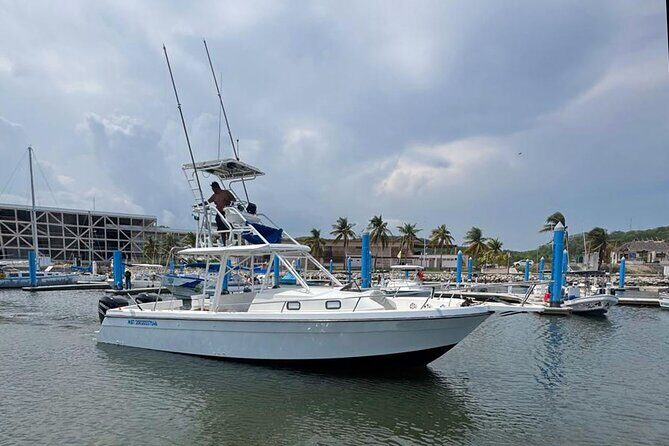 Huatulco Whale & Dolphin Adventures - Analyzing the Value