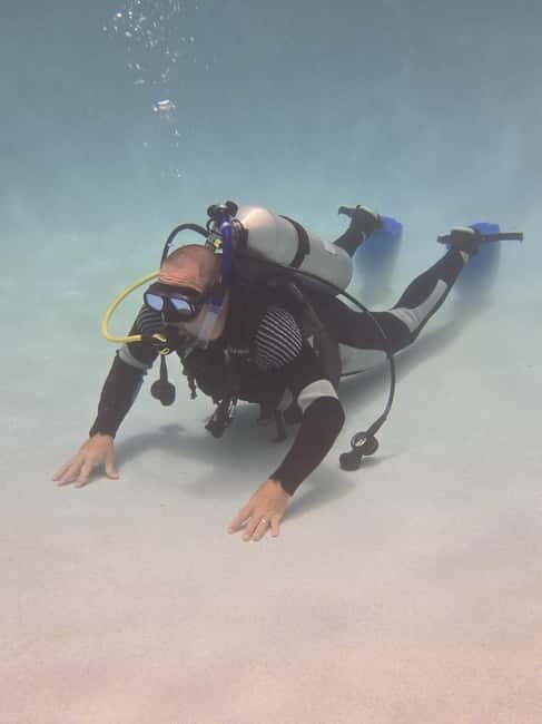 HUDSON, FL: PADI Discover Scuba Diving Experience - The Experience Itself: What to Expect