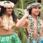 Hula Lesson on Maui (Basics) - What the Hula Lesson on Maui (Basics) Offers
