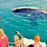 Humpback Whale Watching and Cabo San Lucas Arch Tour - The Beaches and Optional Snorkeling