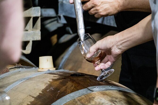 Hunter Valley All Inclusive, Wine, Chocolate Tasting and Lunch - Transportation & Group Dynamics