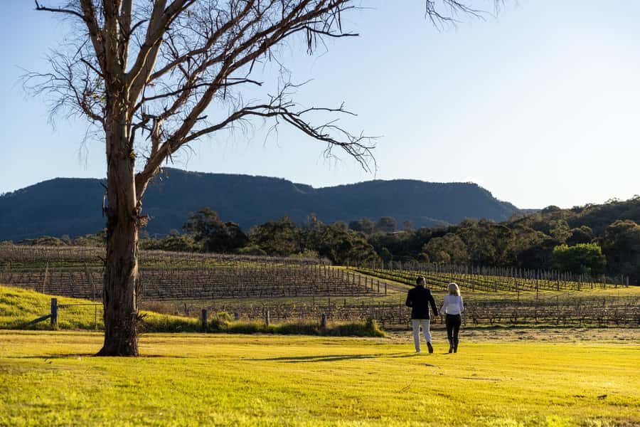 Hunter Valley: Pooles Rock Premiere Wine Tasting - Is This Experience For You?