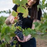 Hunter Valley Premium Tastings with Lunch - Brokenwood Wines: Elegance and Food Pairing