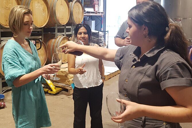 Hunter Valley Wine Tour + Lunch, Gin, Cheese, Choc from Newcastle - Final Thoughts