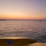 Hydro Rocket Dolphin Sightseeing Boat Tour from Destin - Value for Money and Overall Impression