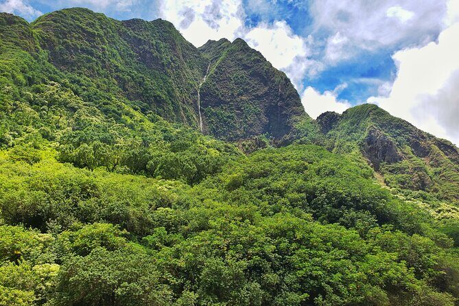 Iao Valley Nature Walk - What Youll See and Experience