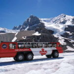 Icefield: Icefield Parkway, Bow Lakes & Peyto Lakes Day Tour - Final Thoughts
