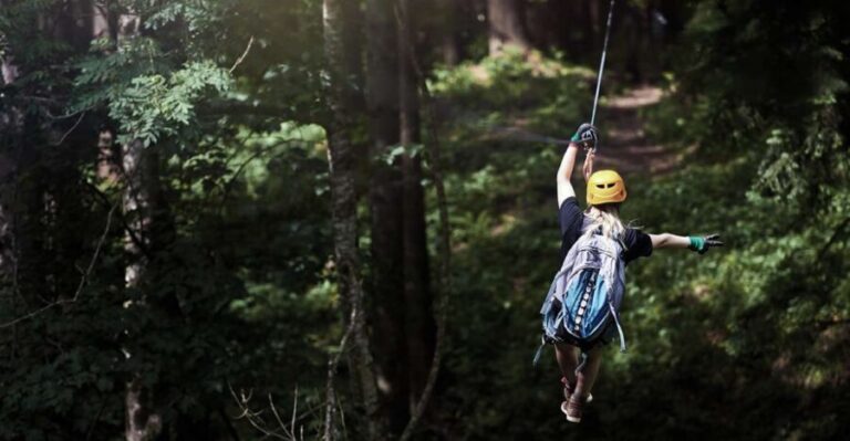 Idaho Springs: Cliffside Zipline Adventure - Is the Price Worth It?