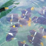 Enjoy paradise: Hidden Beach Snorkeling Adventure - The Experience from Reviews: Authentic Insights