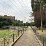 Immersive Cultural Tlatelolco Tour - The Logistics and Experience Details