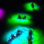 Inclusive Glass Boat Rental Peanut Island Snorkel Gear & Snacks - The View and Underwater Sights