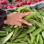 Indian Inspired Cooking Class in Pleasanton - The Details