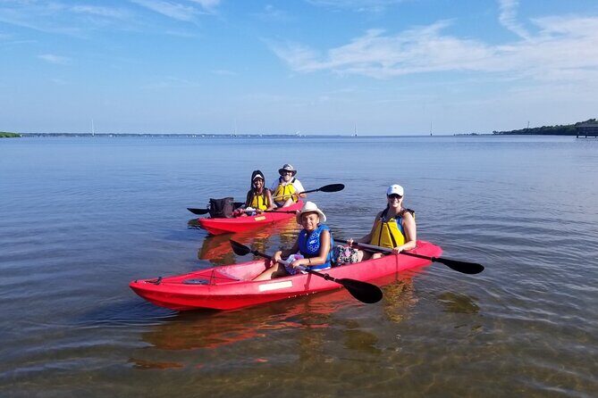 Indian River Clear Bottom Kayak or Paddleboarding Manatee and Dolphin Tour - The Practical Side: Booking, Gear, and Tips
