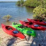 Indian River Lagoon Preserve Kayak Tour - A Deep Dive Into the Experience